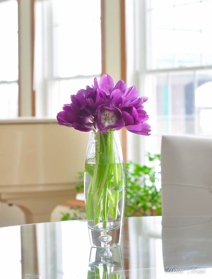 Mê mẩn tài cắm hoa Tulip của mẹ bầu Việt ở Mỹ - 15