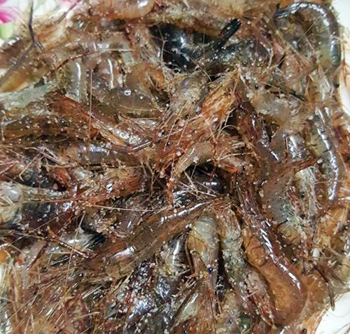 Cách làm bột tôm cực hot của mẹ Việt - 2