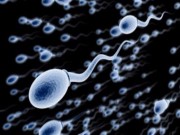 Sức khỏe - 5 thói quen không ngờ làm suy giảm lượng tinh trùng