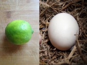 Làm đẹp - Lấy 1 quả trứng + 1 quả chanh chưa đến 5 ngàn đồng mà dưỡng da căng mướt như em bé