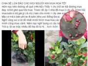 Nhà đẹp - Đau buồn khi mua phải cây hoa gắn nụ hải đường vào... thân cây dành dành