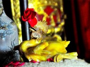 Bếp Eva - Mách chị em cách chọn, luộc gà cúng ngon và đẹp mắt