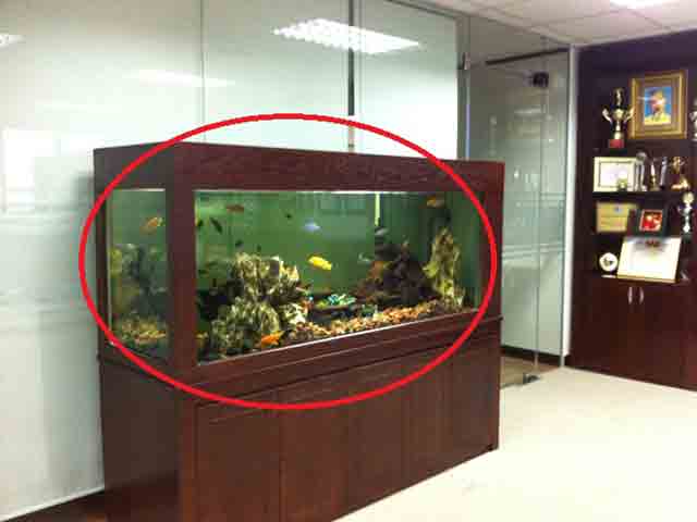 4 đồ vật đặt sai phong thủy làm Thần tài chẳng bao giờ bước đến nhà bạn