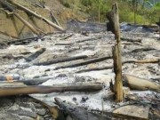 Tin tức - Đốt nhà vì... mẹ không cho lấy xe máy đi chơi