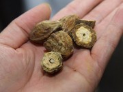 Đây mới là cách chuẩn giúp con giảm ho, sổ mũi!