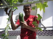 Giải trí - Sao Việt 24h qua: Công Vinh thích thú với niềm vui vườn tược