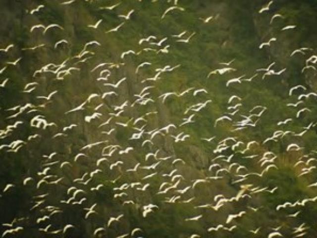 Những kỳ quan Việt Nam xuyên suốt siêu phẩm Kong