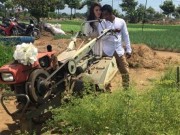 Giải trí - Thích thú với nhật ký tình yêu của Nguyệt Ánh và chồng Ấn Độ