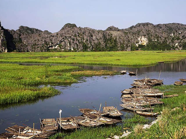 Khám phá “lãnh địa” của Kong: Trải nghiệm từ phim tới đời thực