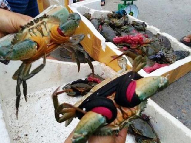 Khóc thét với thảm họa mua hàng kiểu “500 xôi 10 nghìn lá”