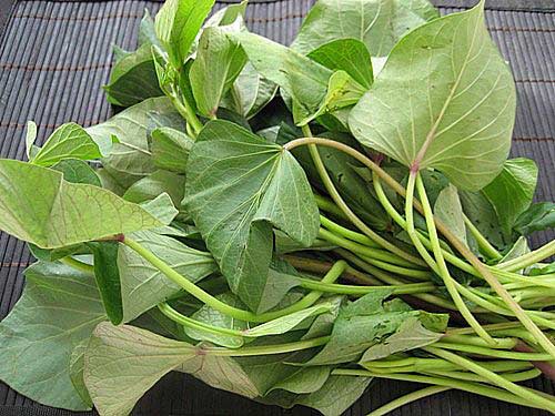 Ăn rau lang luộc cũng dễ đẻ lắm nhé! - 1