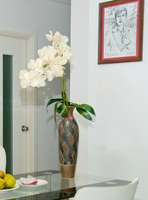 Ngắm nhà đẹp dịu dàng của Long Nhật - 8