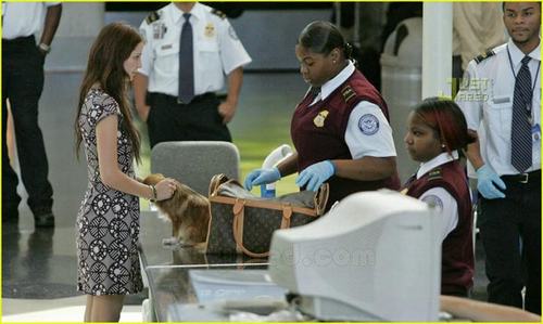 Mẹo bảo quản phim máy ảnh khi đi du lịch - 3