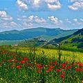 Xem & Đọc - Mê mẩn 'thiên đường ẩm thực' Marche ở Italy