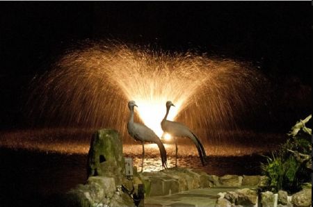 Biệt thự 820 tỷ lộng lẫy vẻ quý tộc - 4