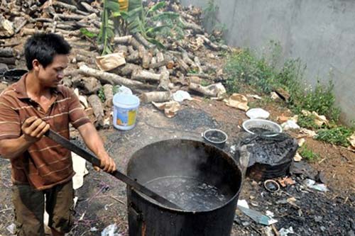 Sốc: Bắp trộn đậu nành thành... cà phê - 1