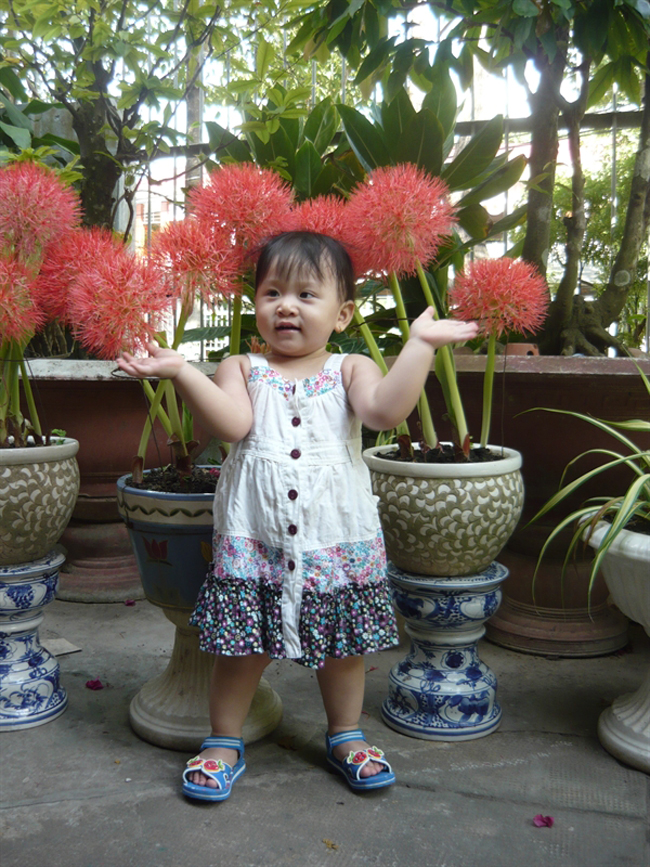 Bé Phạm Hồ Thanh An là 'công chúa' nhỏ đáng yêu của cả nhà.