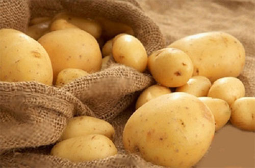 5 loại mặt nạ đơn giản trị mụn đầu đen - 5