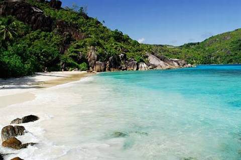 Tới đảo Tò mò ngắm quả giống... vòng 3 thiếu nữ - 2