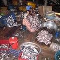 Mua sắm - Giá cả - Bì lợn làm nem chua, đặc sản từ cá thối