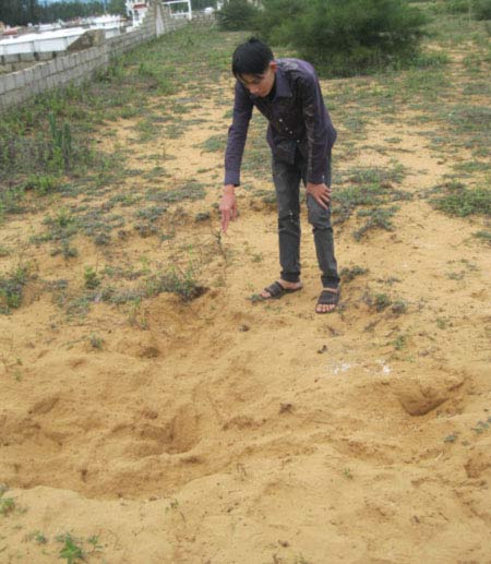 Nghi trộm tiền, bắt người đem chôn sống - 1