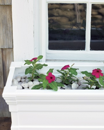 Tiện ích bất ngờ từ đá cuội nhặt linh tinh - 2