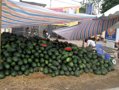 Dưa hấu #039;siêu rẻ#039; tăng giá gấp đôi - 1