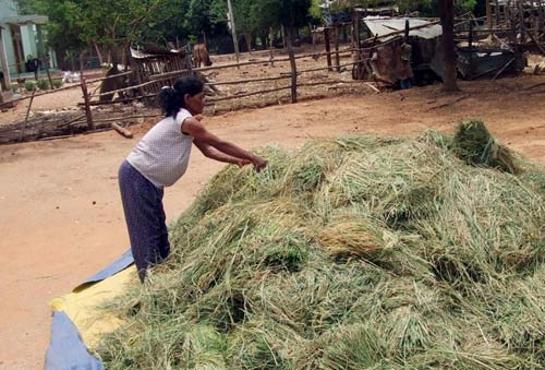 Tới làng có nhiều người chết vì rượu độc - 2