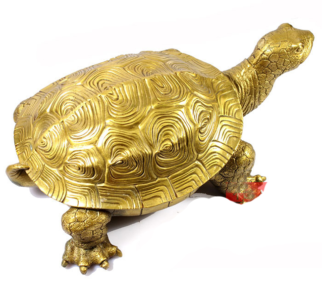 Rùa được các nhà khoa học chứng minh là một trong số những loài vật có tuổi thọ thuộc hàng cao nhất. Trong văn hóa Việt Nam, rùa là một linh vật được tôn trọng từ ngàn xưa.

