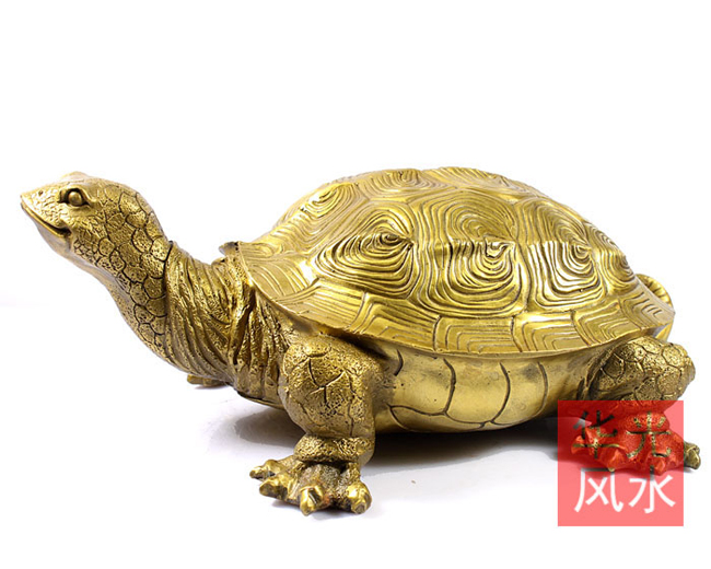 Phần gù ở lưng con rùa được coi là trời và phần bụng của chúng là đất, khiến nó trở nên bền vững với thời gian. 