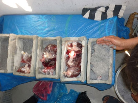 Theo chân người đi lượm hài nhi xấu số - 3