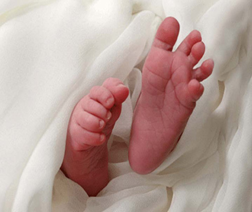 Tự hào vì làm “bà đỡ bất đắc dĩquot; - 2