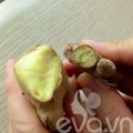 Bếp Eva - Chia sẻ mẹo phân biệt gừng ta, gừng Trung Quốc