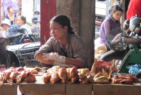 Đủ các loại cúm, dân sợ thịt gà - 2