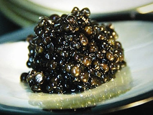 Việt Nam sản xuất trứng cá nghìn đô - 2