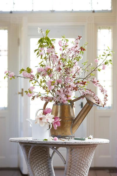 Trồng cây xinh trốn cái nóng quot;điên ngườiquot; - 2