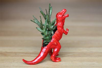 Trồng cây xinh trốn cái nóng quot;điên ngườiquot; - 3