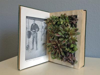 Trồng cây xinh trốn cái nóng quot;điên ngườiquot; - 7