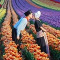 Xem & Đọc - Những thiên đường tình yêu tại Hà Lan