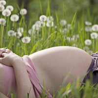 Tuần 27: Thấm mệt!