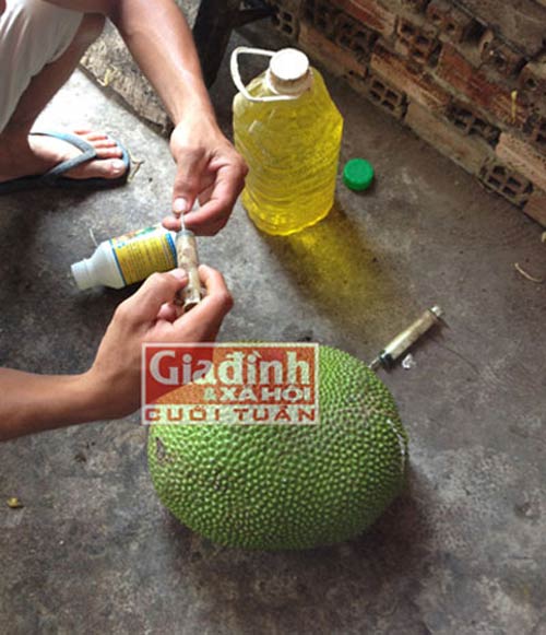 Truy tìm loại hóa chất lạ ép mít chín siêu tốc - 4