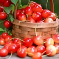 Sức khỏe - Thần dược giúp trẻ lâu từ trái cây màu đỏ