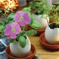 Nhà đẹp - Nhà cực đáng yêu với cây tí hon