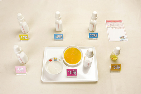 Mô hình minh họa ăn dặm kiểu Nhật - 1