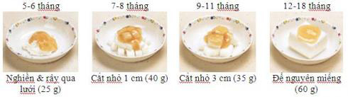 Mô hình minh họa ăn dặm kiểu Nhật - 11