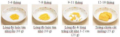 Mô hình minh họa ăn dặm kiểu Nhật - 12