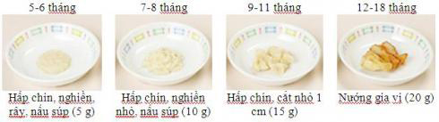 Mô hình minh họa ăn dặm kiểu Nhật - 14