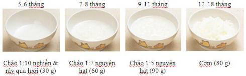 Mô hình minh họa ăn dặm kiểu Nhật - 5