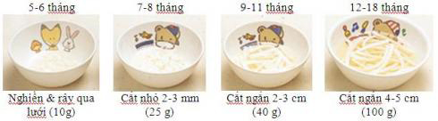 Mô hình minh họa ăn dặm kiểu Nhật - 6