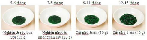 Mô hình minh họa ăn dặm kiểu Nhật - 7